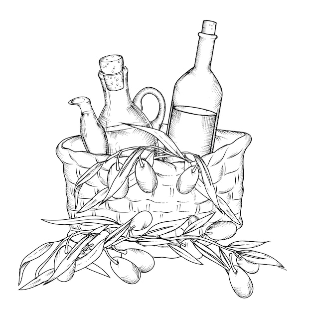 Olive branches and oil bottles in a wicker basket hand drawn vector isolated