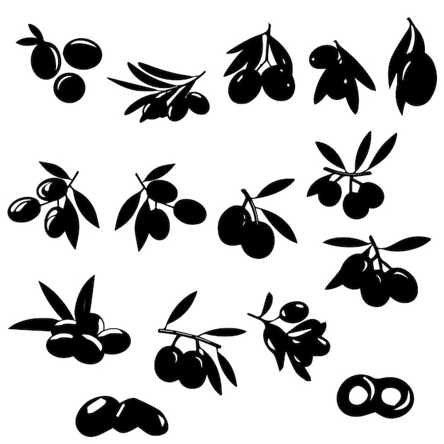 Olive Design Luscious Olive Vector Illustration EPS Design for Mediterranean Flair