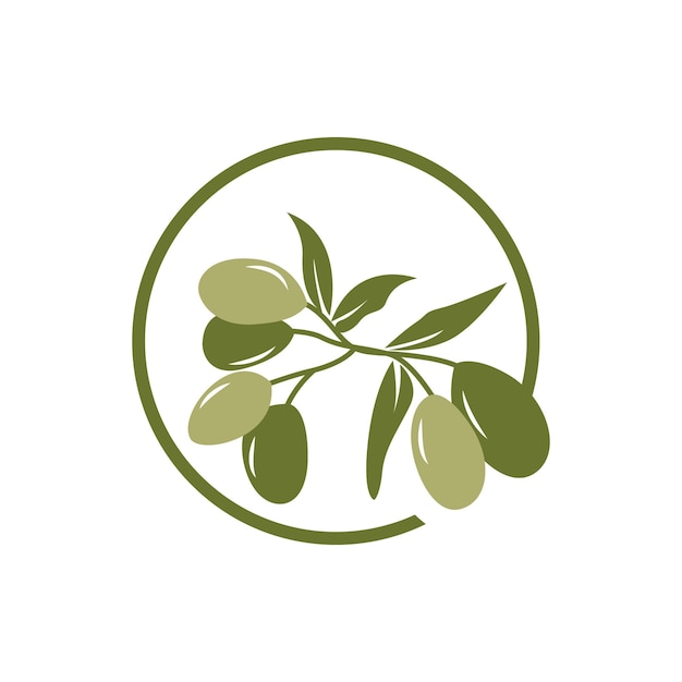 Olive Logo Design Olive Oil Tree Vector Simple Illustration Template