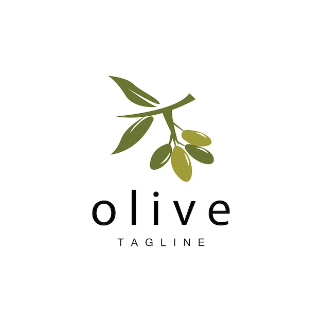 Olive Logo Olive Oil Plant Vector Natural Herbal Health Medicine Design Illustration Template Icon