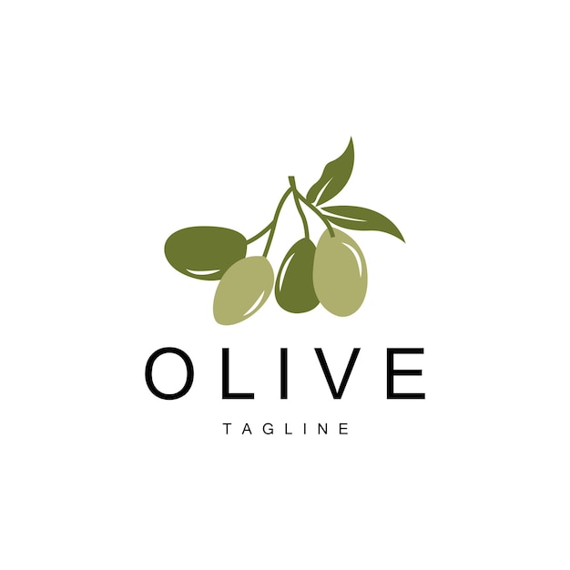 Olive Logo Olive Oil Plant Vector Natural Herbal Health Medicine Design Illustration Template Icon