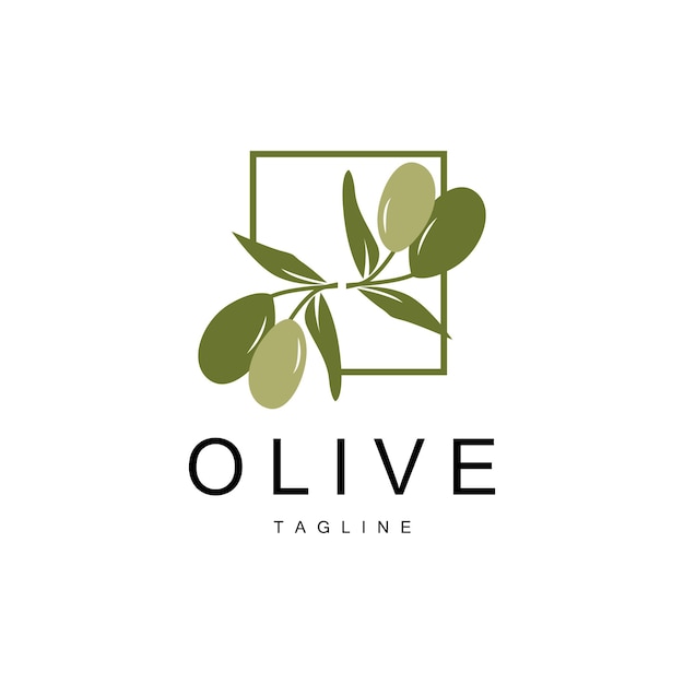 Olive Logo Olive Oil Plant Vector Natural Herbal Health Medicine Design Illustration Template Icon