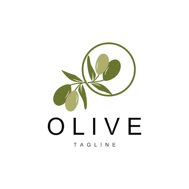 Olive Logo Olive Oil Plant Vector Natural Herbal Health Medicine Design Illustration Template Icon