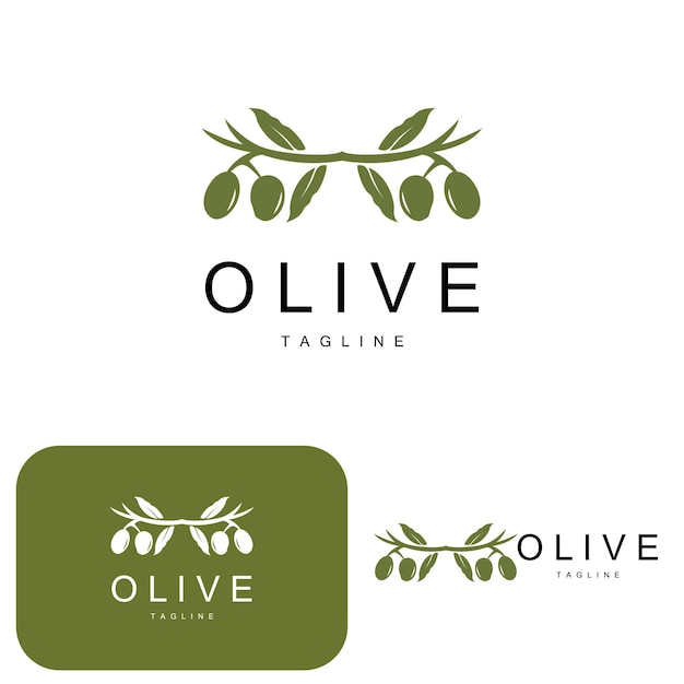 Olive Logo Olive Oil Plant Vector Natural Herbal Health Medicine Design Illustration Template Icon