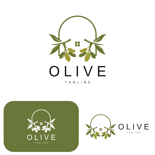 Olive Logo Olive Oil Plant Vector Natural Herbal Health Medicine Design Illustration Template Icon