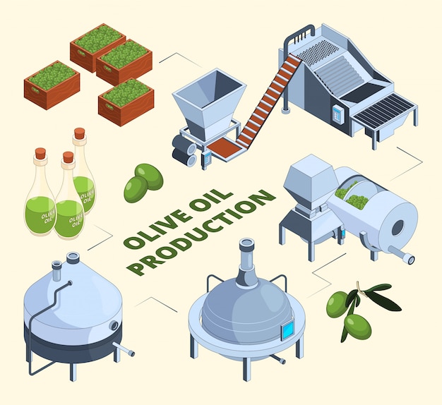 Olive manufacturing. Oil production processes plant food press industry farm tank centrifuge bottles.  isometric pictures