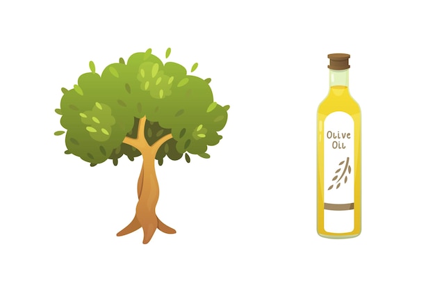 Olive oil bottle and tree vector illustration in cartoon style