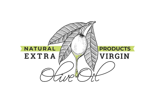 Olive oil hand drawn vintage logo