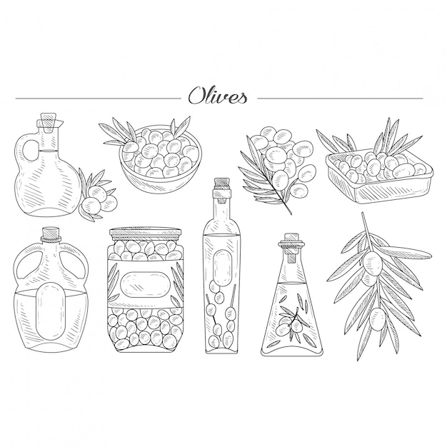 Olive Oil Handdrawn  Set