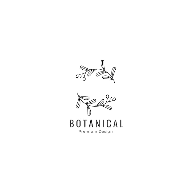 Olive oil leaf logo botanical line art