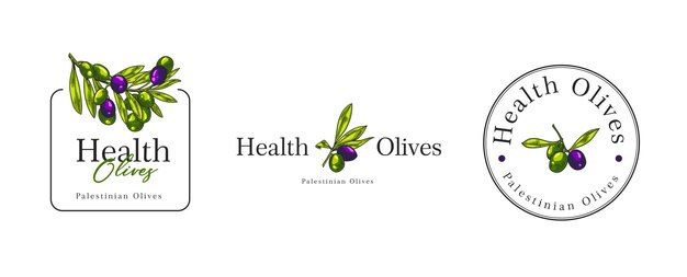 Olive oil logo template design