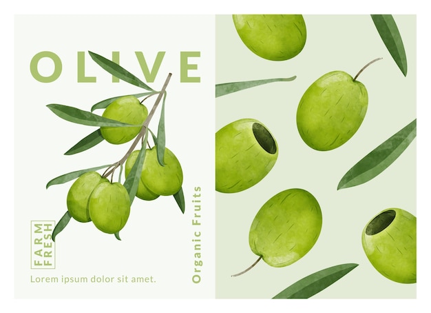 Olive packaging design templates, watercolour style vector illustration.