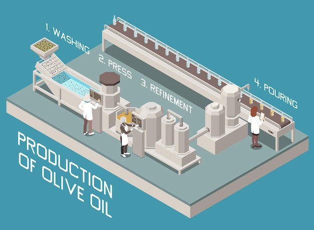 Olive production isometric composition with view of factory line and washing press refinement stages with text 