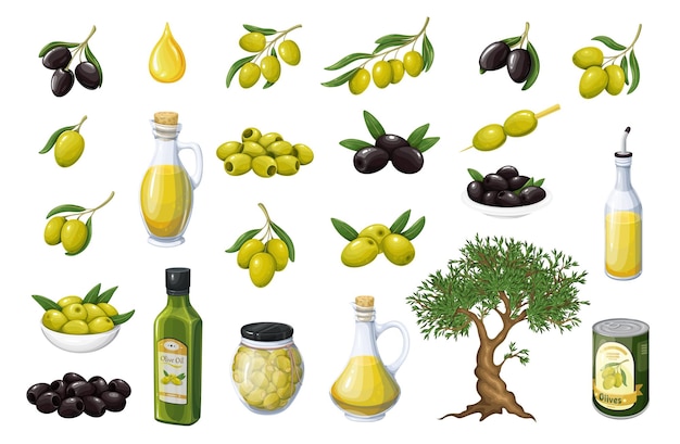 Olive set tree branch with leaves and fruit bottle with label extra virgin Greek oil