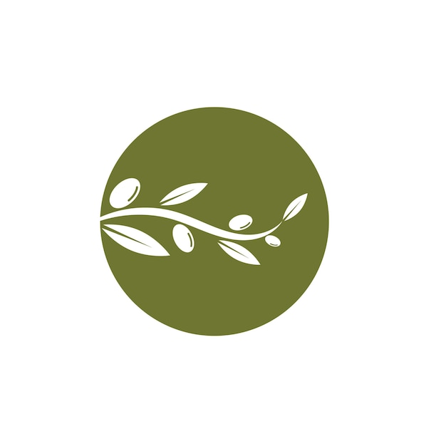 Olive tree vector illustration