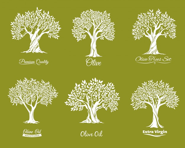 Olive trees farm  icons set