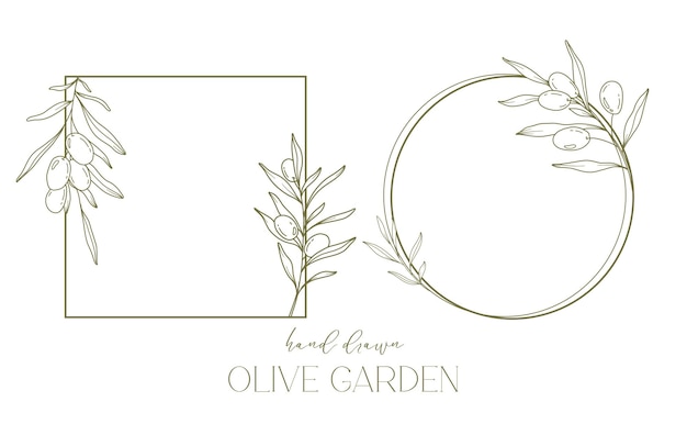 Vector olives line drawing black and white olive frame olive wreath isolated floral line art