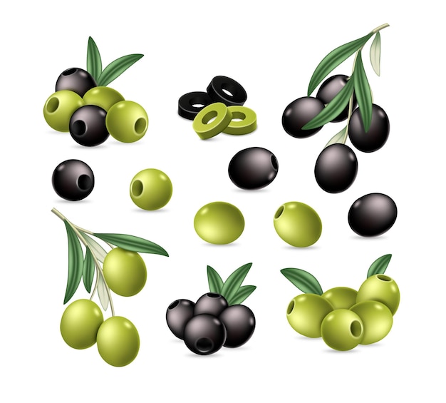 Olives set Green and black fresh pitted slices and whole olive berries on branch isolated