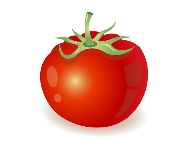 One bright red tomato with a stem