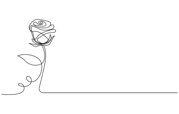 Vector one continuous line drawing of a rose singleline art drawing of a rose flower and floral