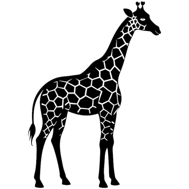 one giraffe silhouettes vector illustration