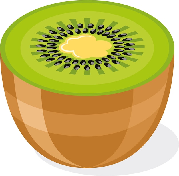 One Half Of Kiwi Fruit Vector Image Food Illustration