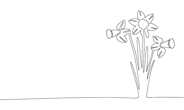 One line continuous daffodils Flowers concept banner in line art hand drawing style Outline vector