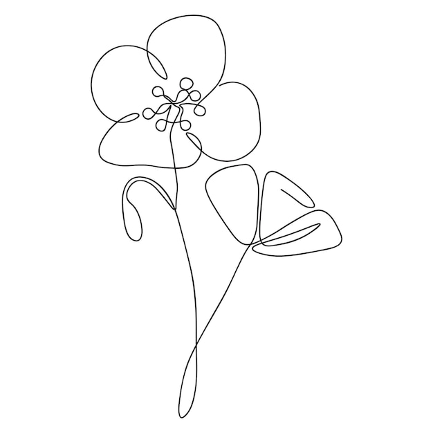 One line continuous flower single line drawing art flower art botanical flower isolated