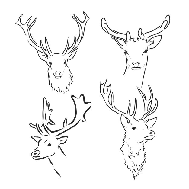 Vector one line design silhouette of deerhand drawn minimalism stylevector illustration deer