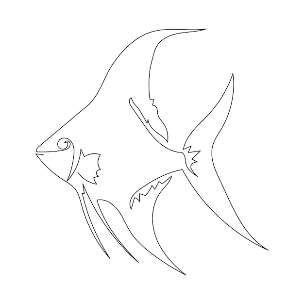 One line drawing of an angel fish