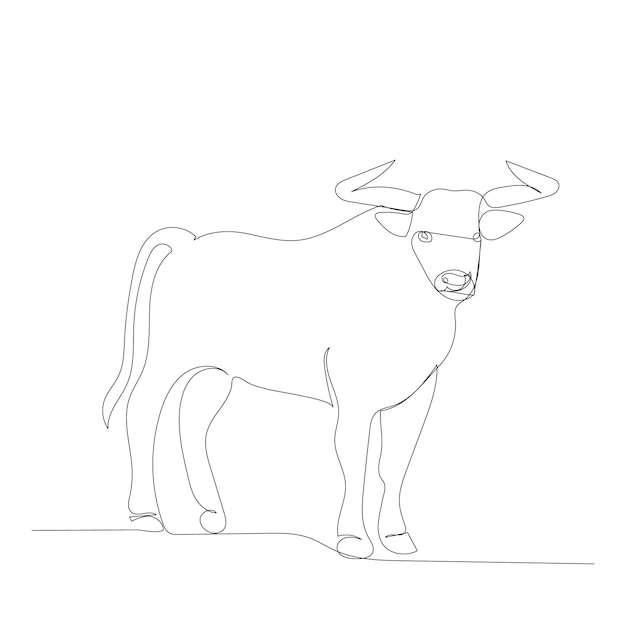 One line drawing bull sketch