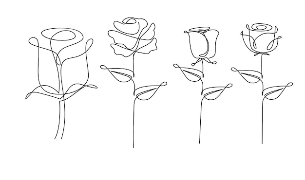 Vector one line drawing garden rose with leaves hand drawn sketch