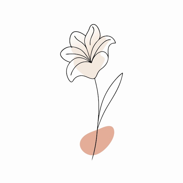 Vector one line drawing minimalist flower illustration in line art style 37