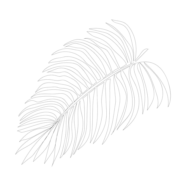 One line drawing palm leave isolated on white background.