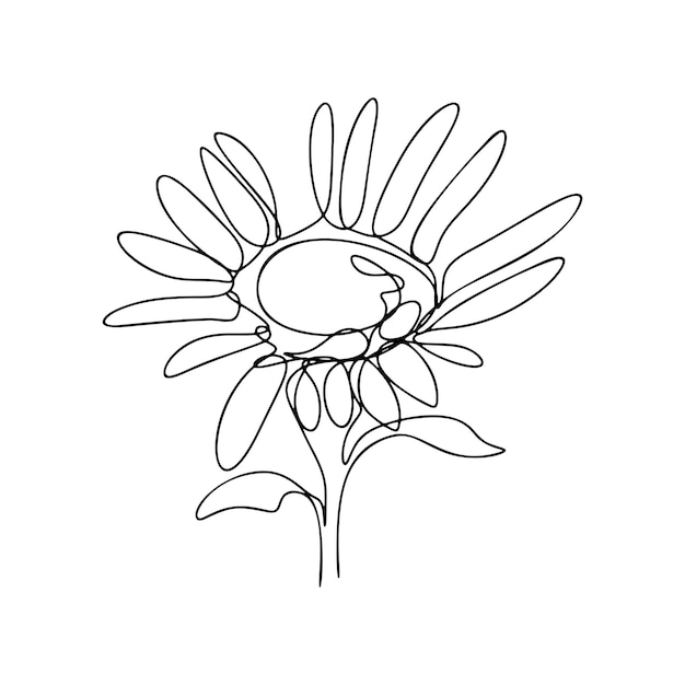 One Line Drawing Single Continuous Line Sketch Flower