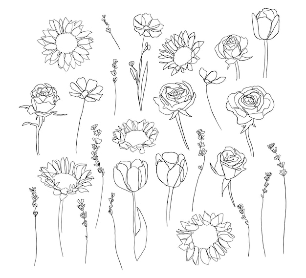 One line flowers set Organic style