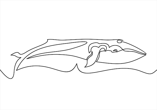 one line whale design silhouettehand drawn minimalism style vector