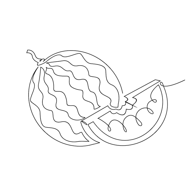 One single line water melon logo continuous