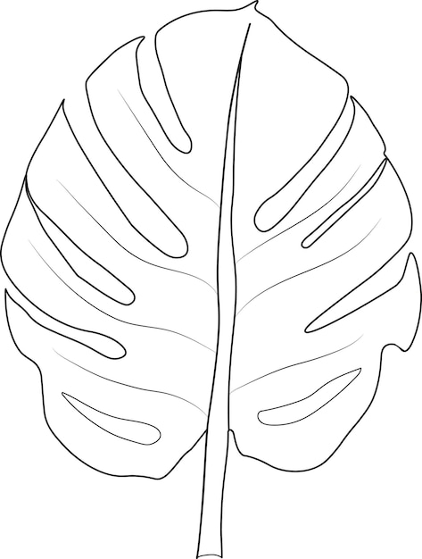 One tropical monstera leaf Black contours isolated on a white background Vector stock illustration