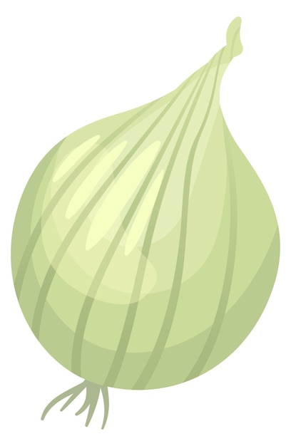 Onion bulb Healthy green vegetable cartoon icon isolated on white background