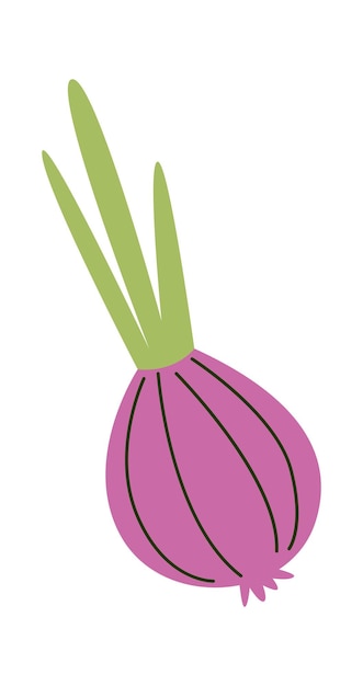 Onion flat icon Healthy farming vegetable Agriculture