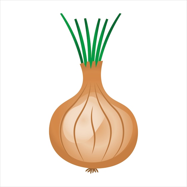 onion icon vector illustration symbol