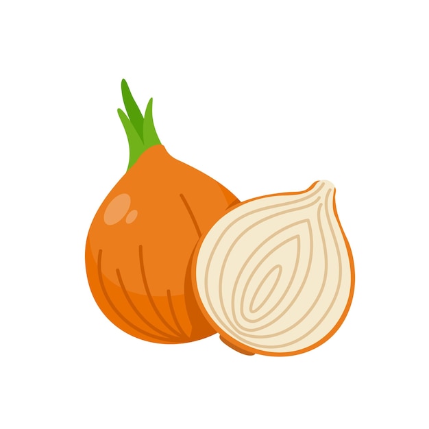 Onion vector raw materials for cooking