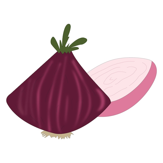 An onion