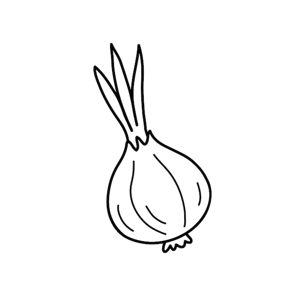 Onions in black in doodle style