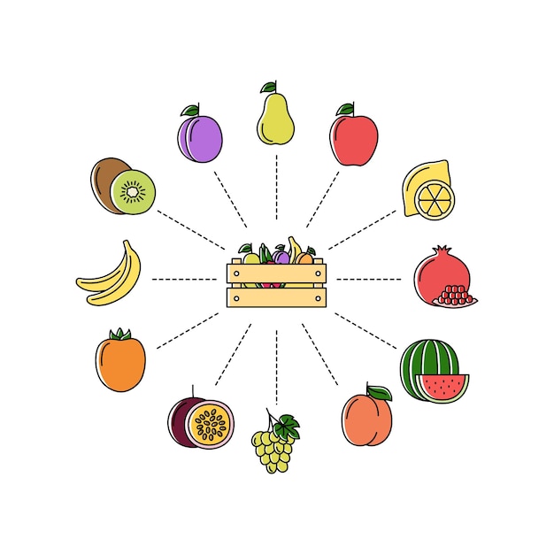 Online store with fruits Shopping concept vector illustration