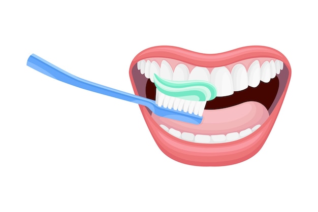 Vector open mouth with toothbrush scrubbing and cleaning teeth vector illustration