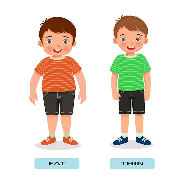 Opposite adjective antonym English words fat thin illustration for kids explanation flashcard