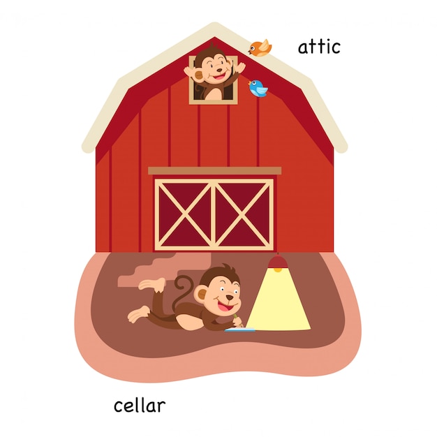 Opposite attic and cellar vector illustration