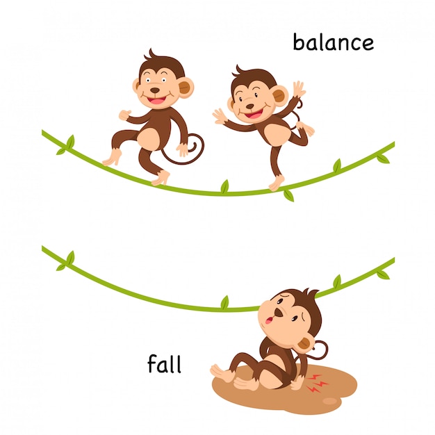 Opposite fall and balance  illustration